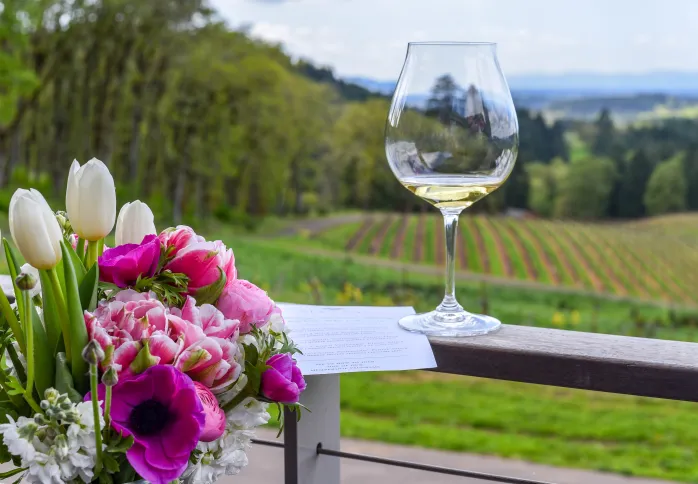 Transitioning Your Wine Collection